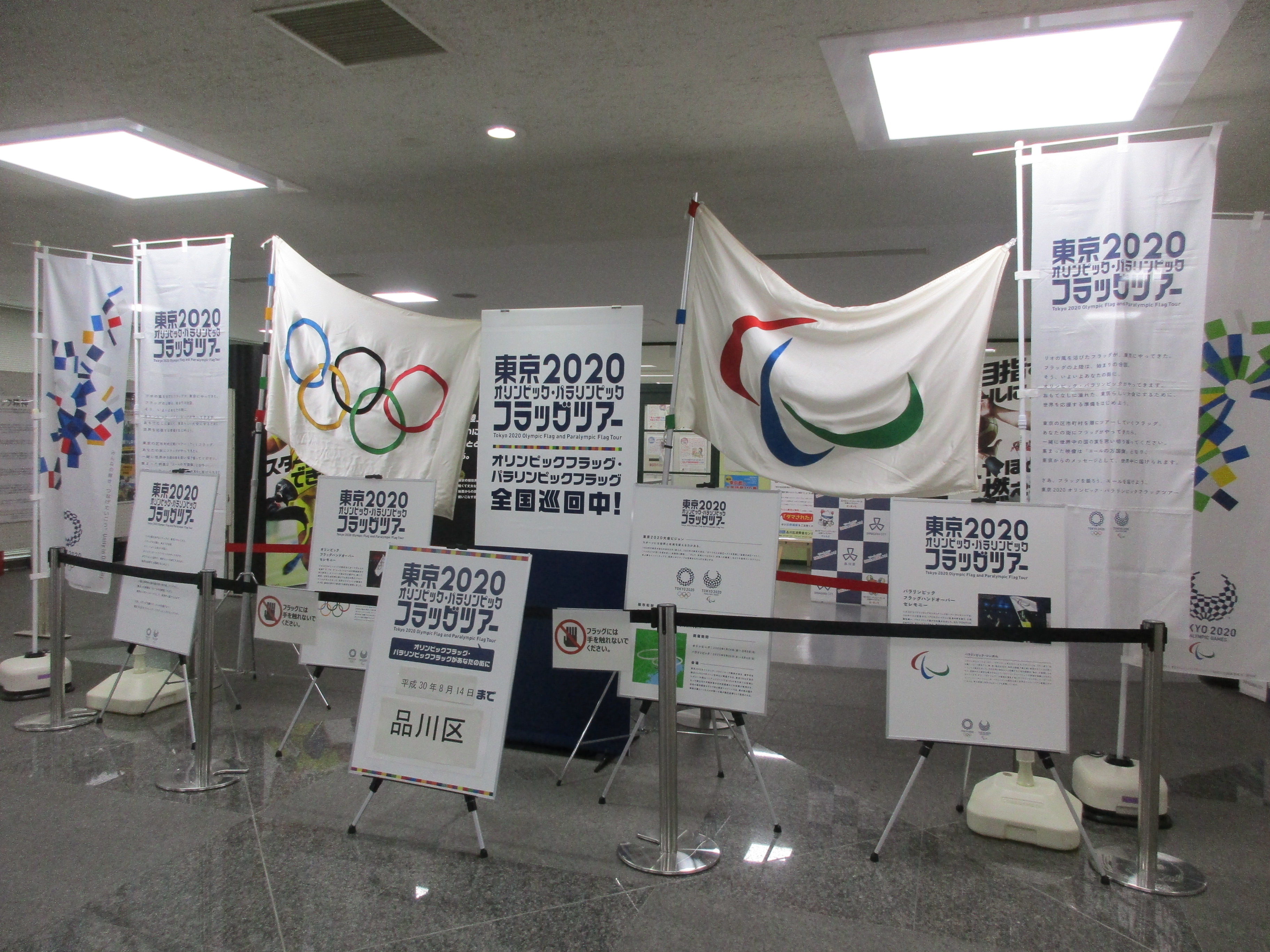 展示の様子写真