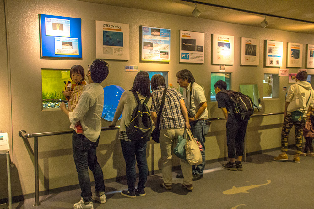 来観客でにぎわう日本の固有種展