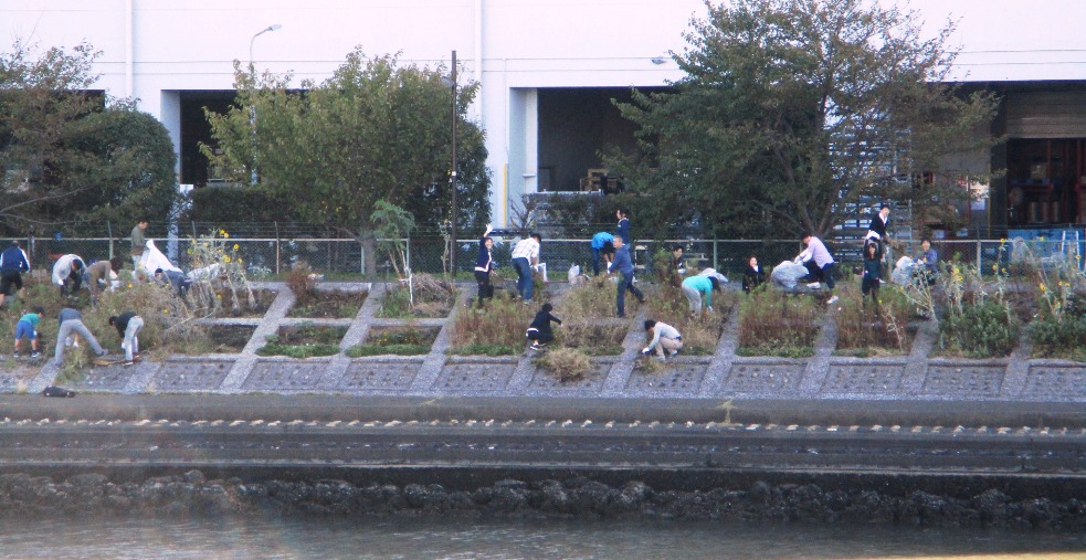 しながわ花海道　作業風景