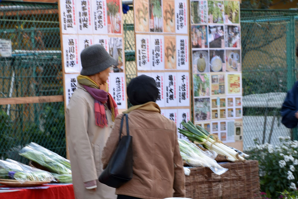 会場掲げられr谷江戸野菜の説明と展示