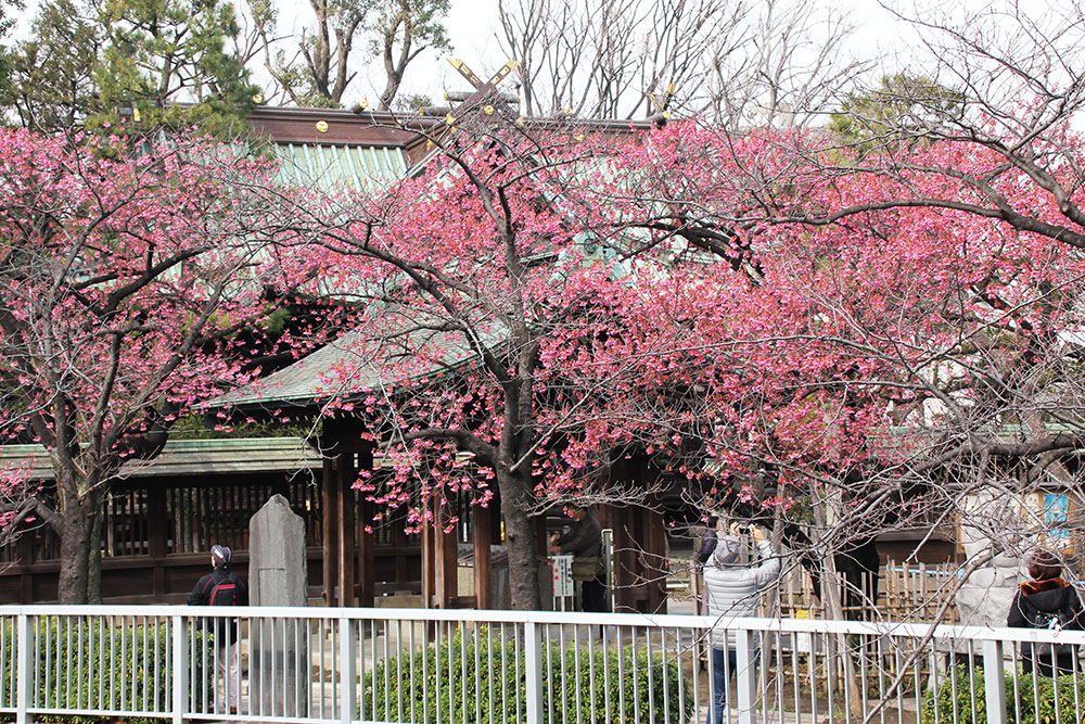 鎮守橋から見た荏原神社