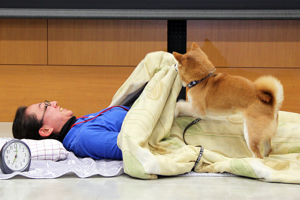 聴導犬によるデモンストレーション