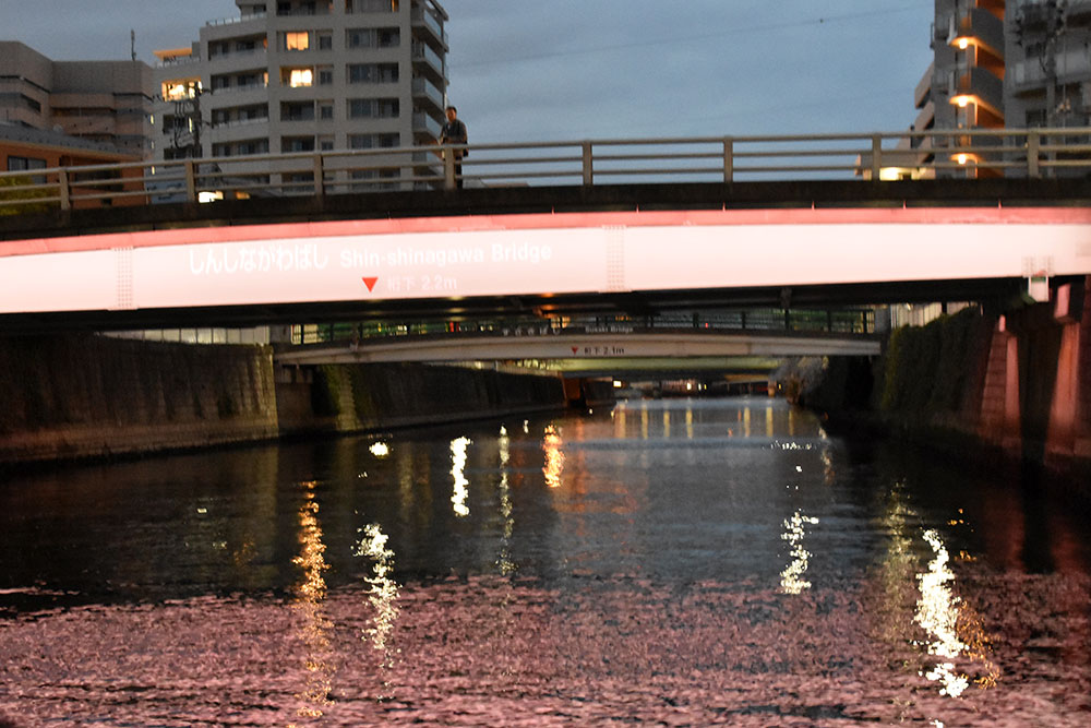 桜色にライトアップされた新品川橋