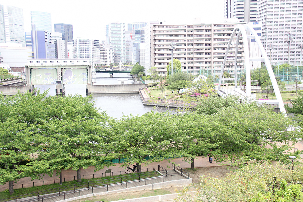 屋上庭園から見える運河