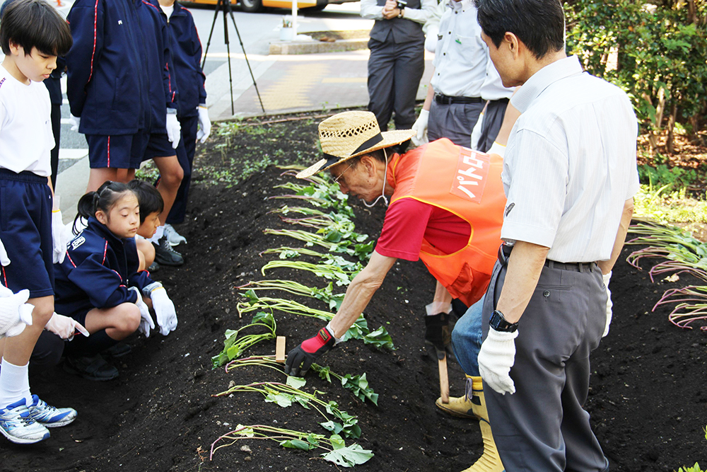 説明を受けながら苗植え