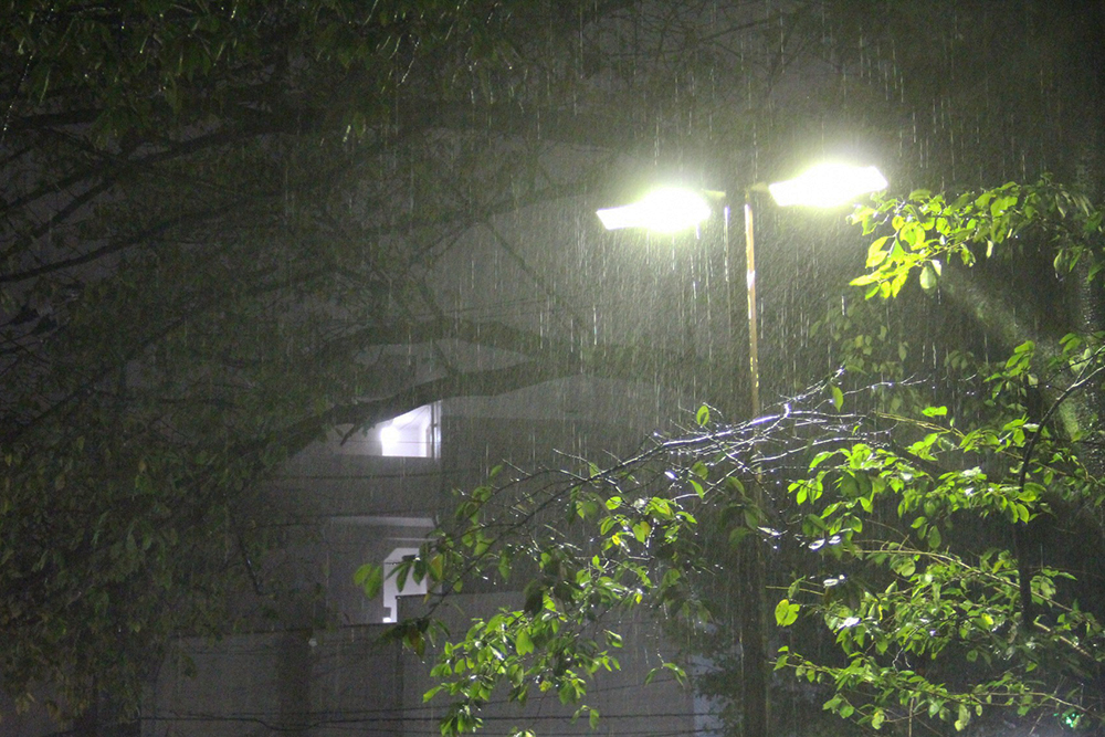 区役所前の雨風の様子