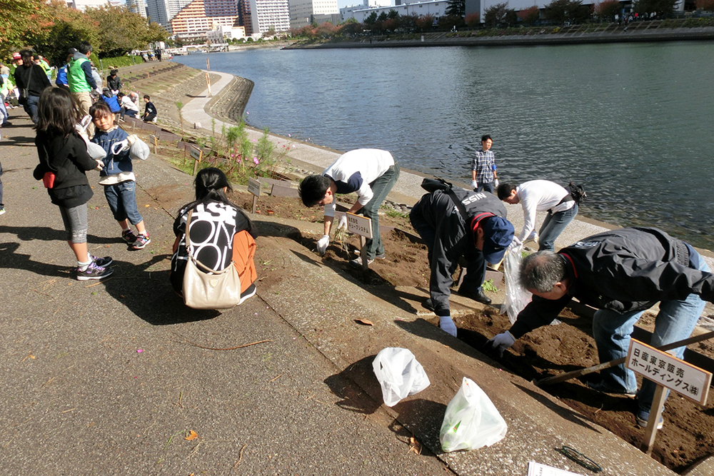 土手の上から作業風景