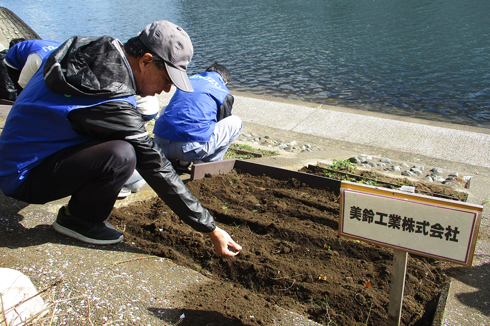 苗植えの作業