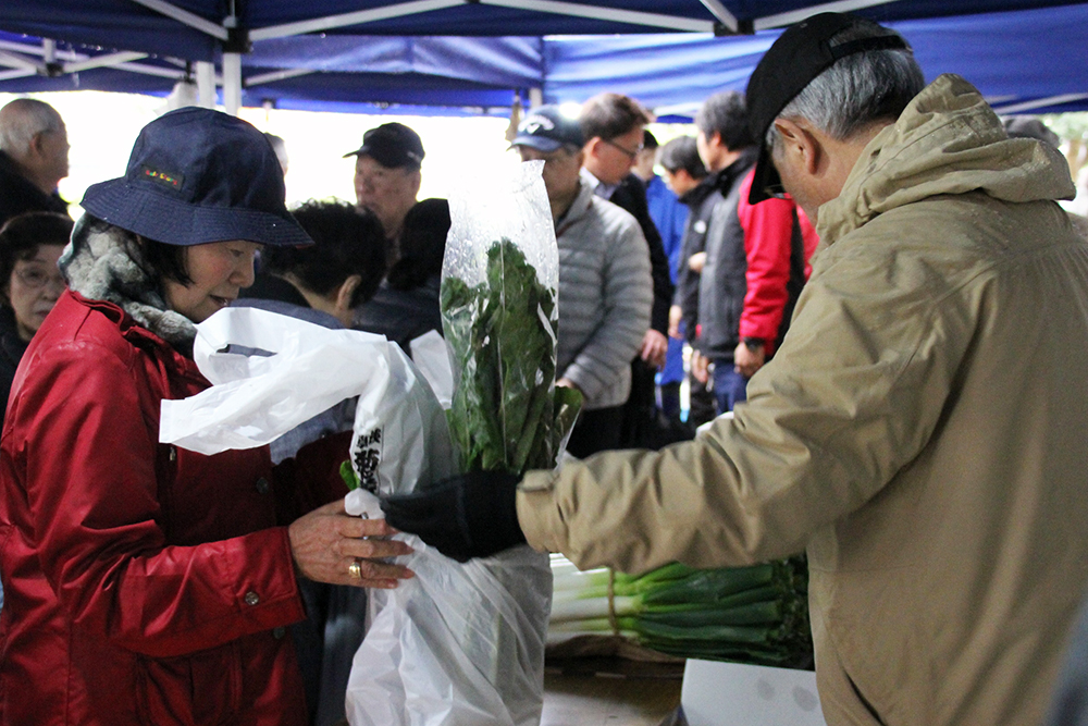 江戸野菜を購入