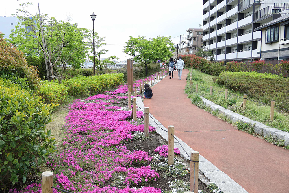 鮫洲入江公園通路