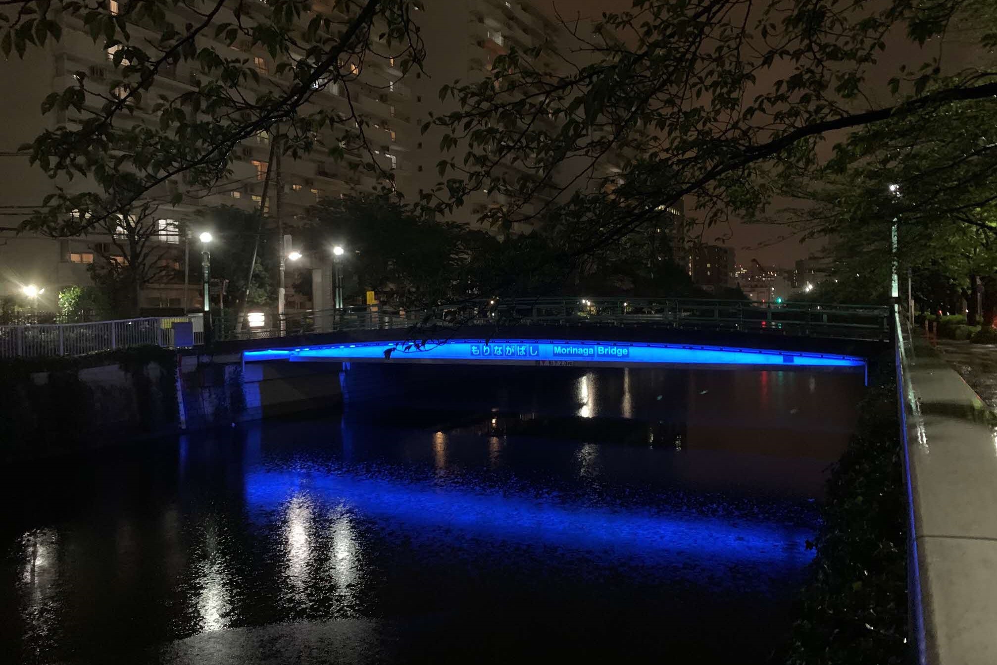 ライトアップされた森永橋