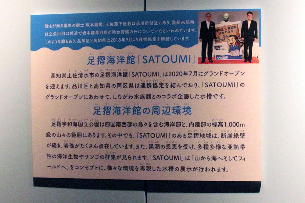 記念水槽の看板