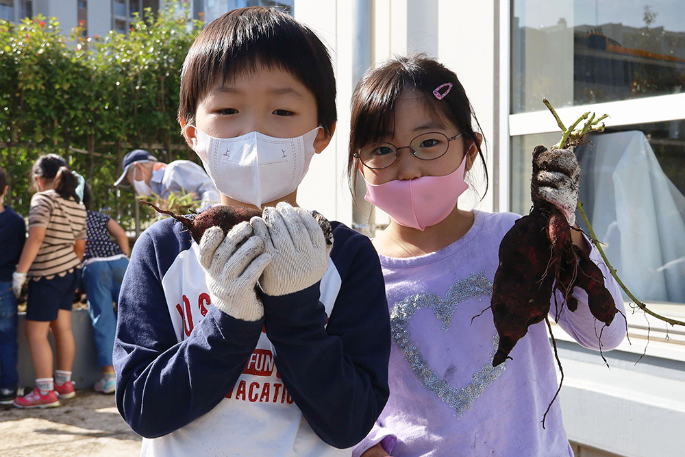 収穫したサツマイモを手にする子どもたち