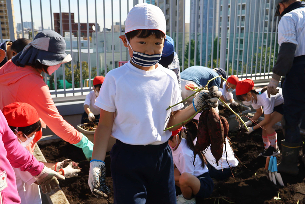 サツマイモを収穫した子ども