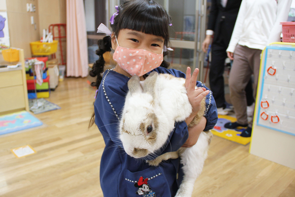 飼っているウサギのみみちゃんと一緒に