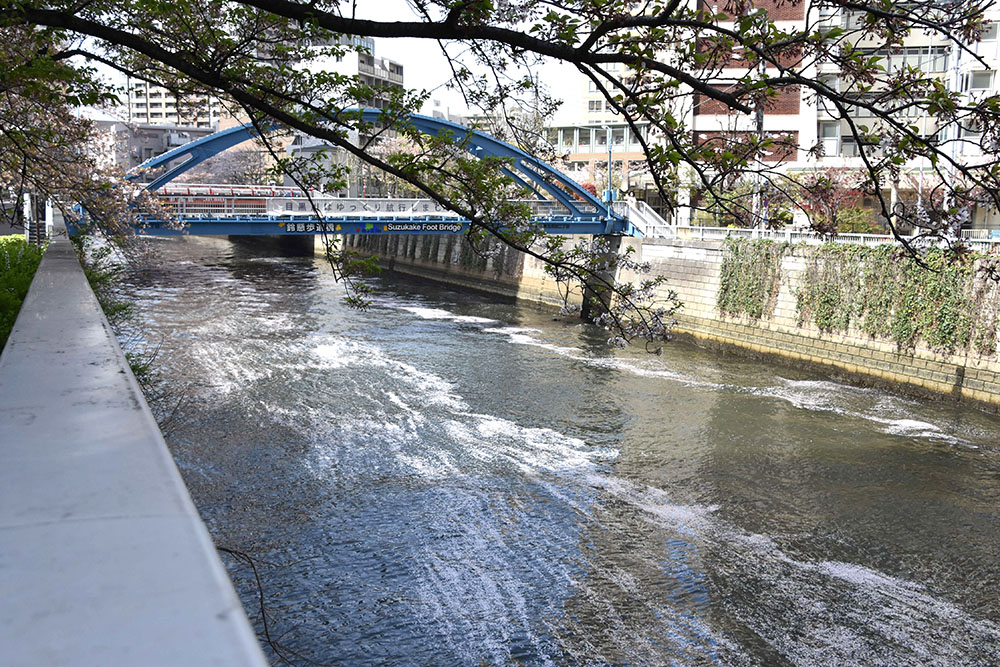 山本橋付近