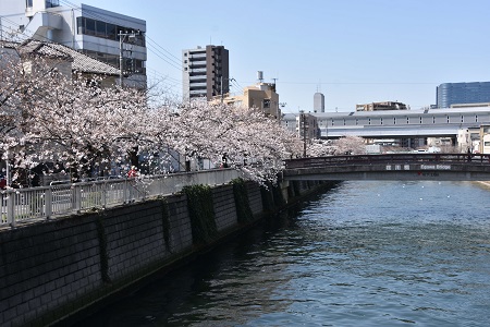 荏川橋から