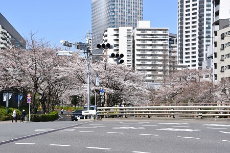 居木橋から