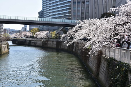 大崎ニューシティー付近