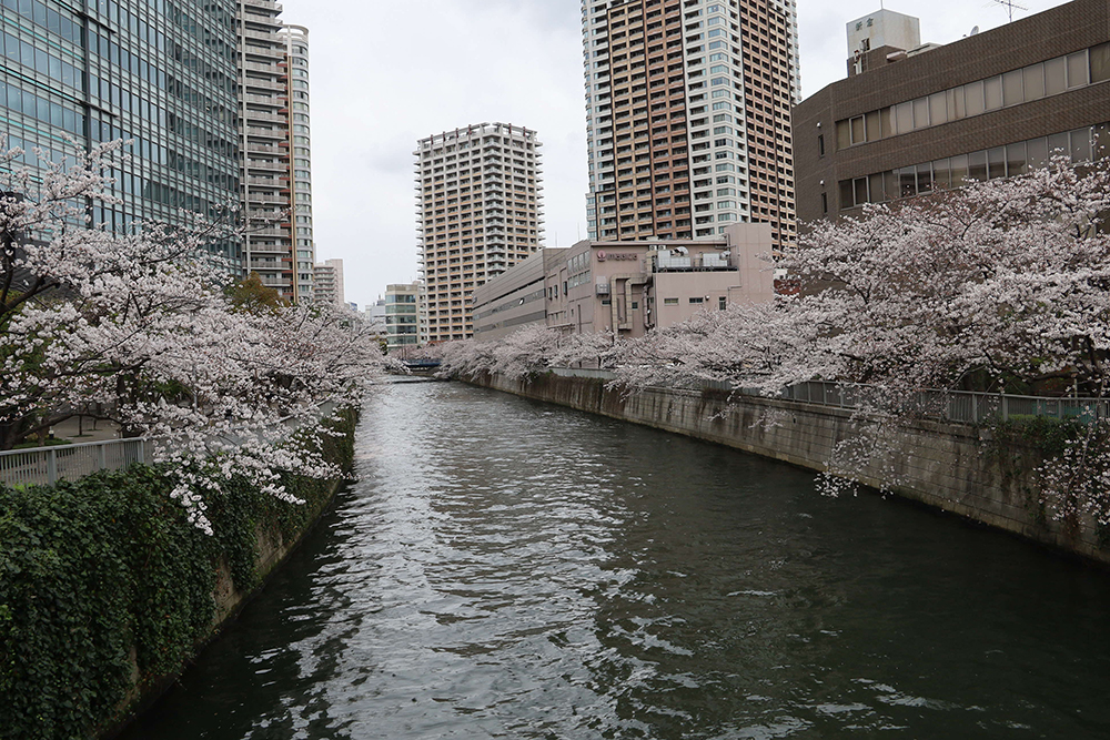 下流を望む