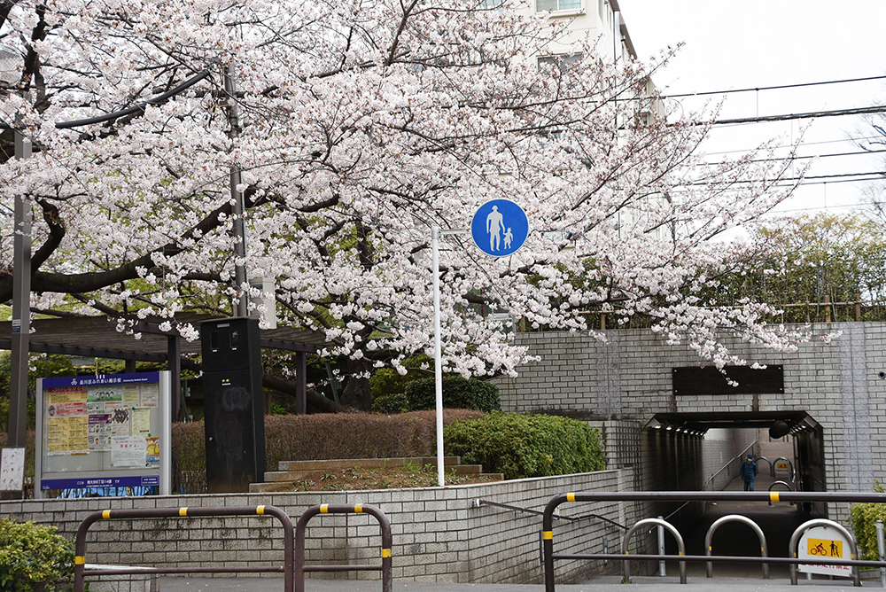 公園側の桐畑地下道入口