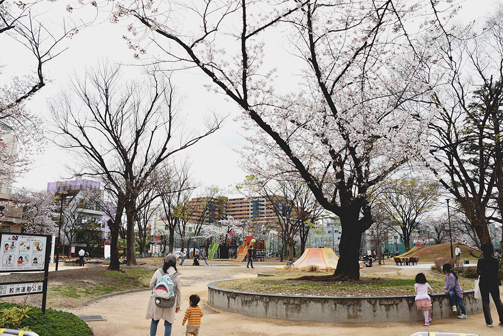 公園全景