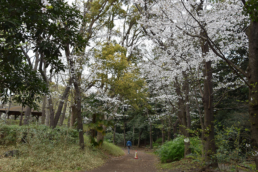 公園北側