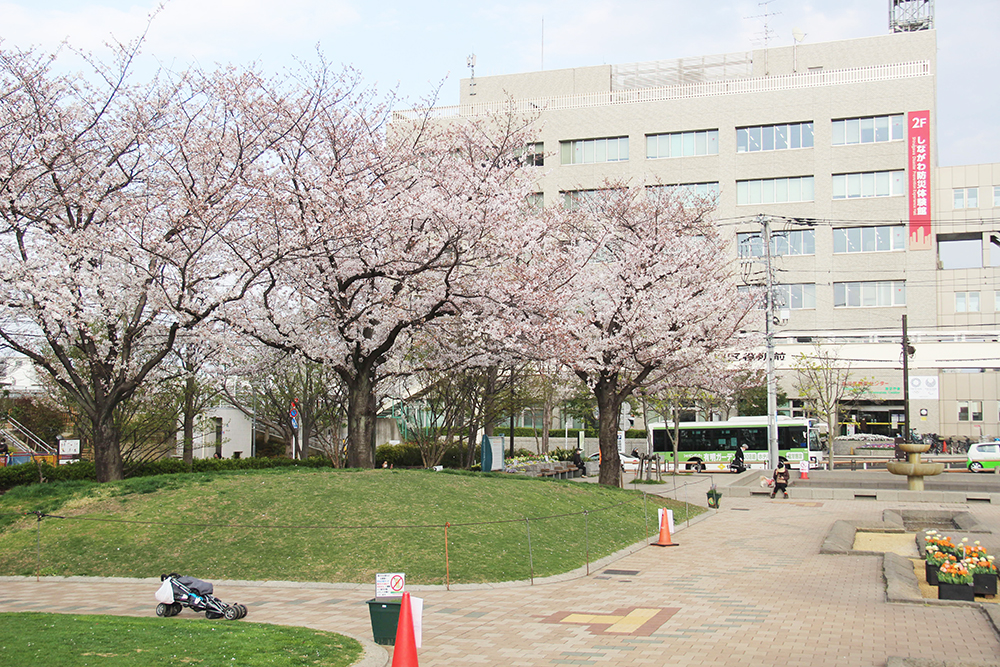 しながわ中央公園