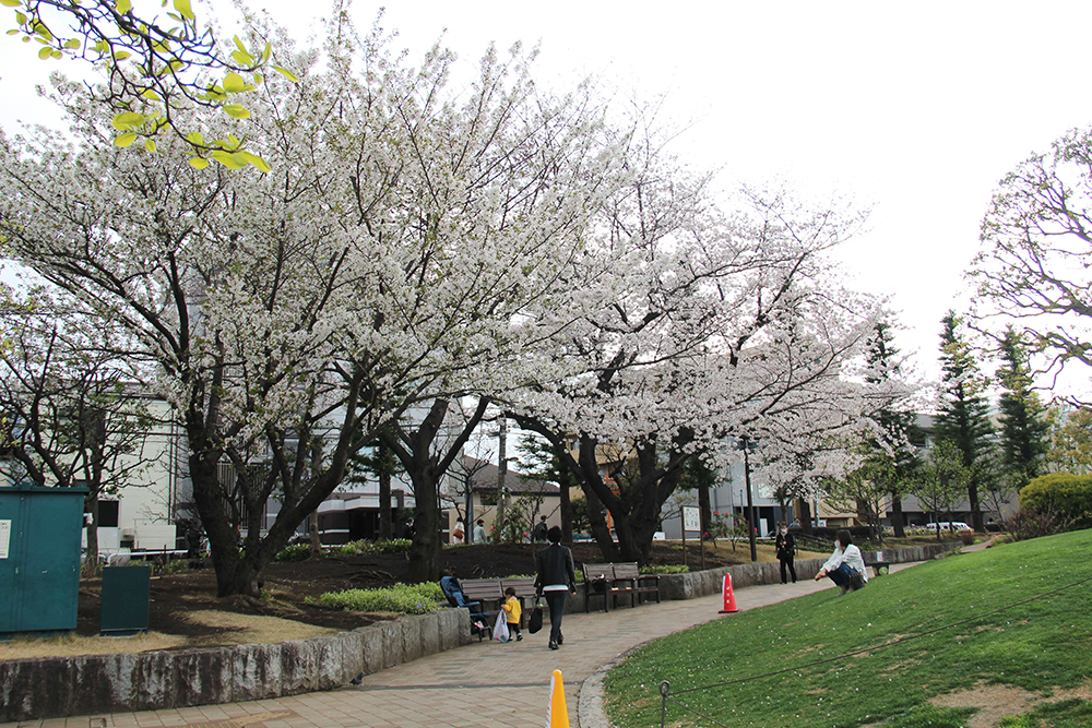 しながわ中央公園