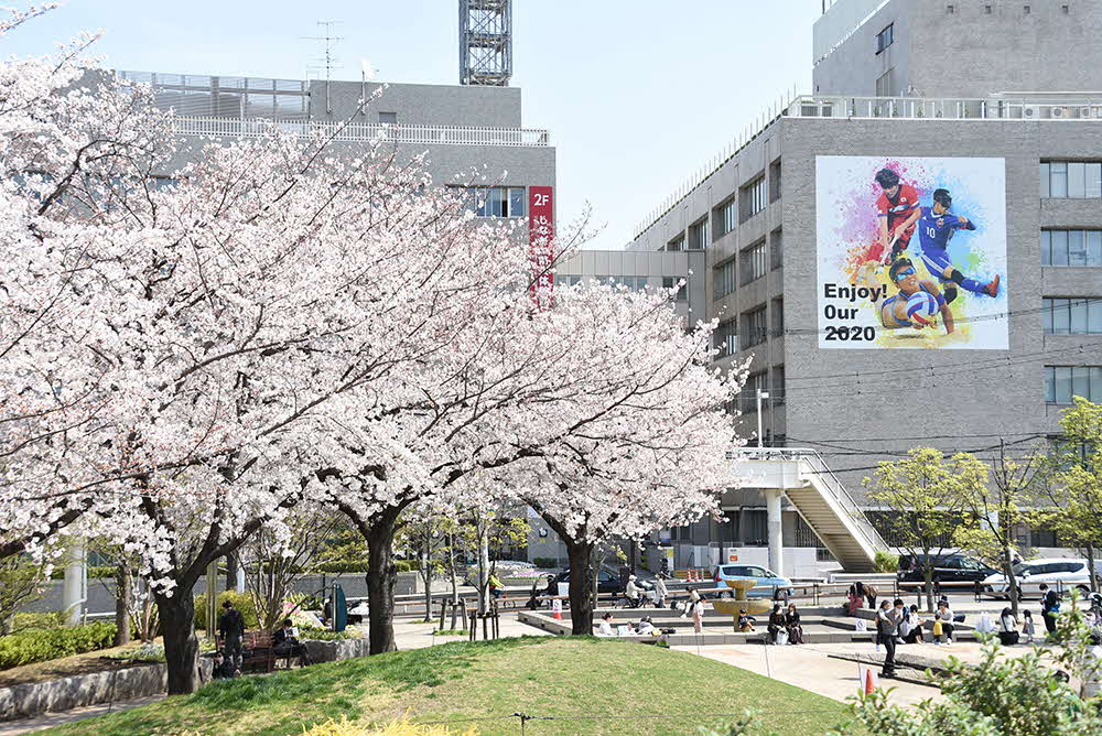 品川区役所をバックにした桜の木