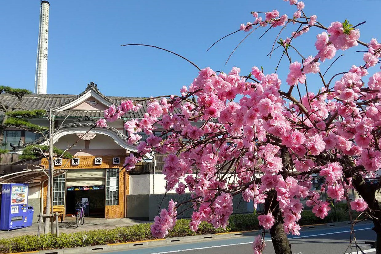 東京浴場前