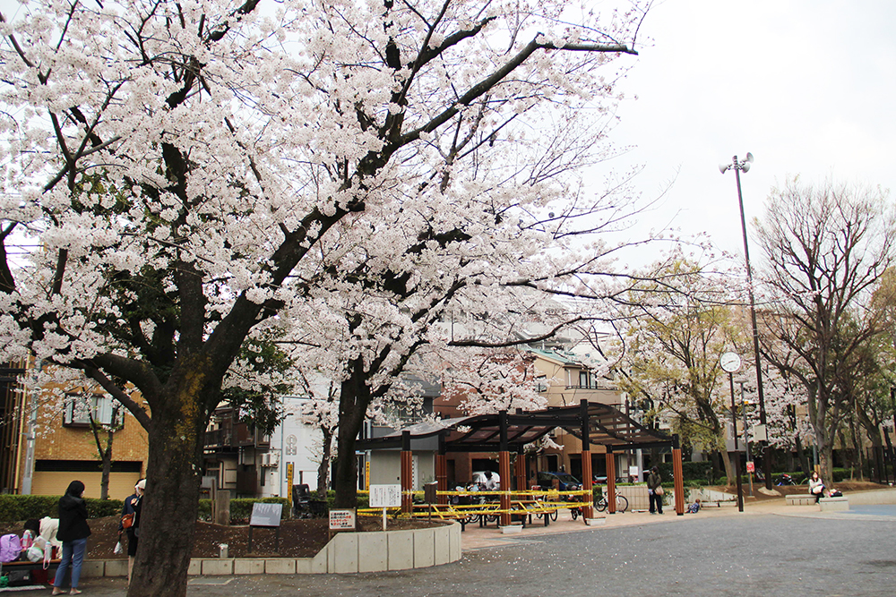 荏原南公園