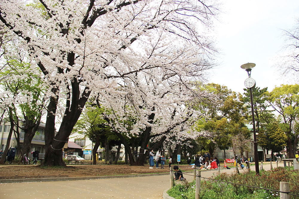 文庫の森公園