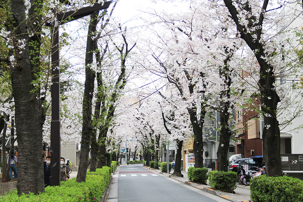 立会道路