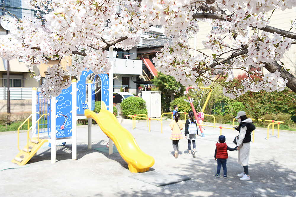 桜の木の下で遊ぶ子供たち