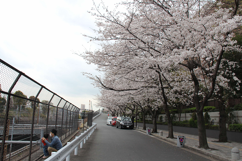 跨線橋から