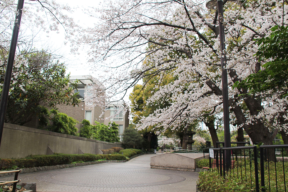 庭園前