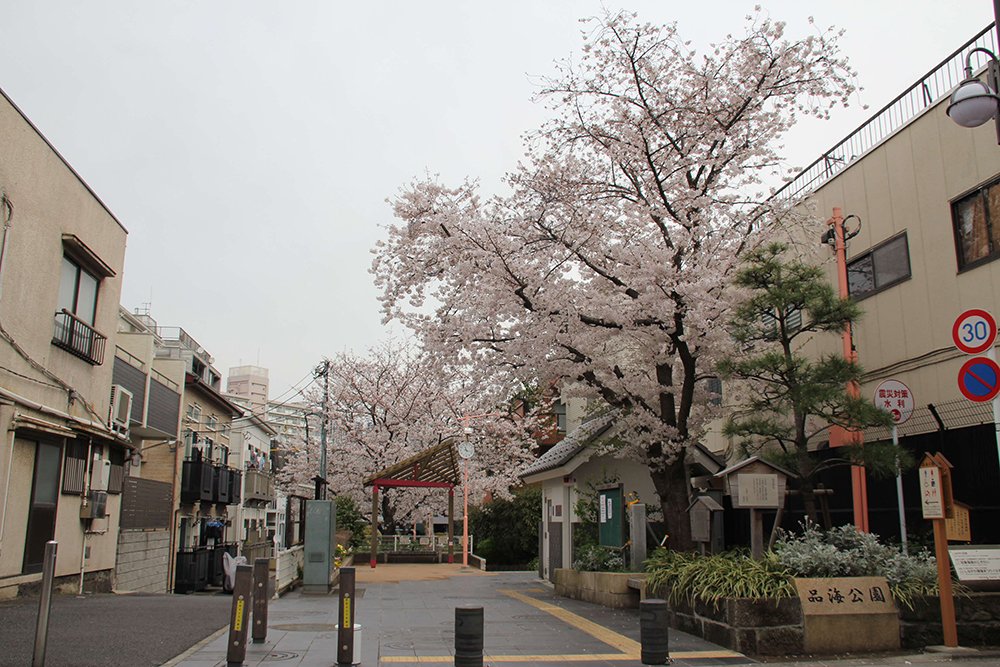 公園入口から