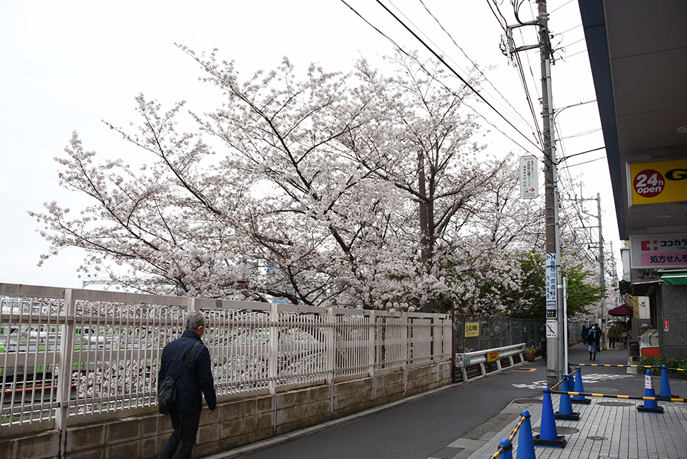 線路際の小路