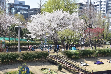 屋上庭園から北側を見下ろす