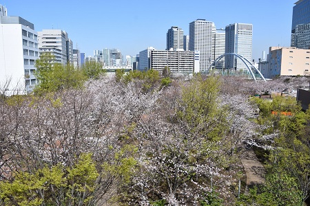 アイル橋方面を望む