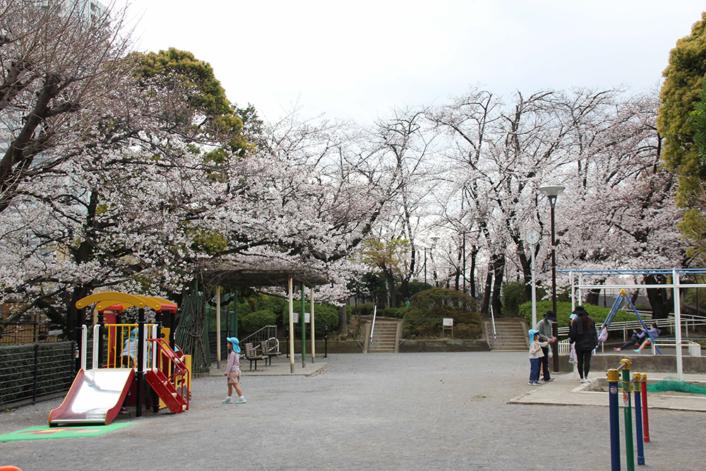 権現山公園の広場