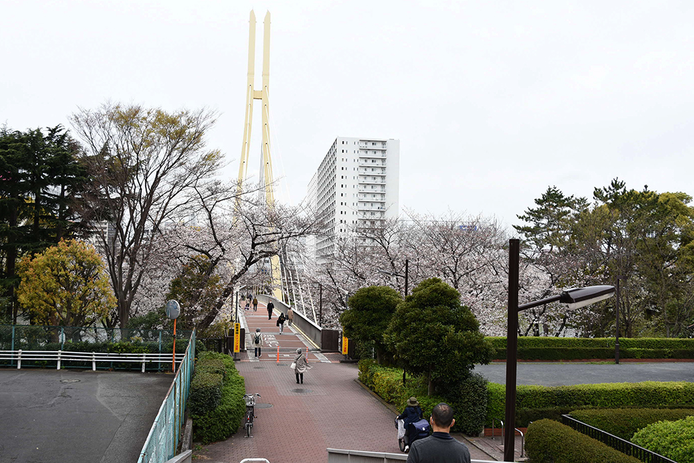 カモメ橋を望む