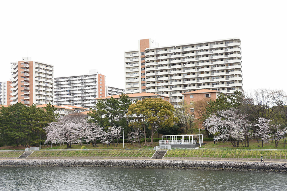 勝島橋から八潮団地