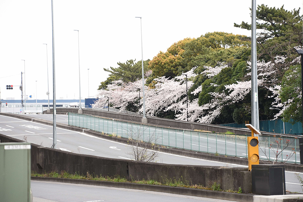 八潮ポンプ場の対側