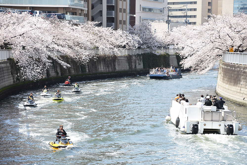 東海橋防災船着き場周辺