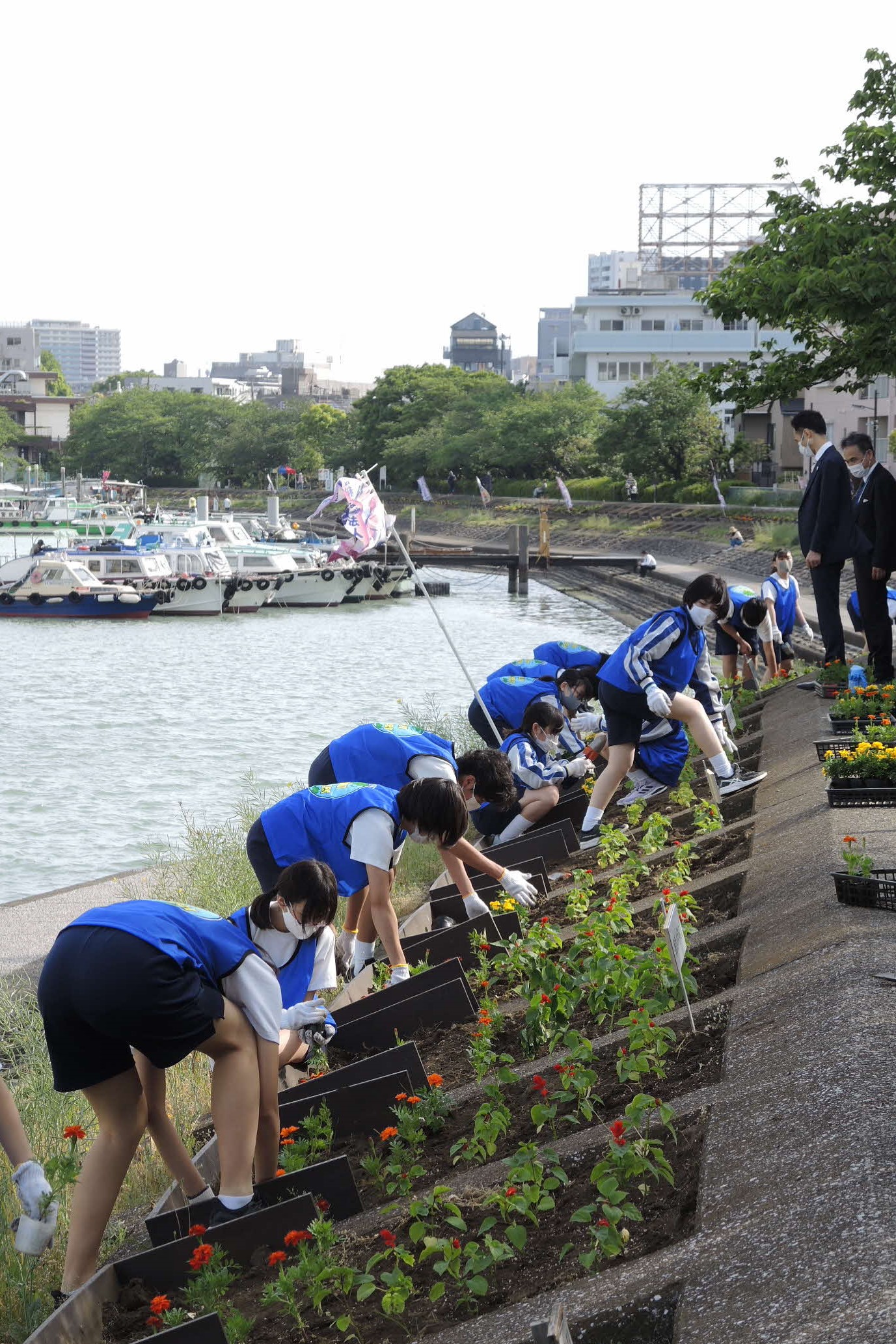 苗植えの様子　縦写真