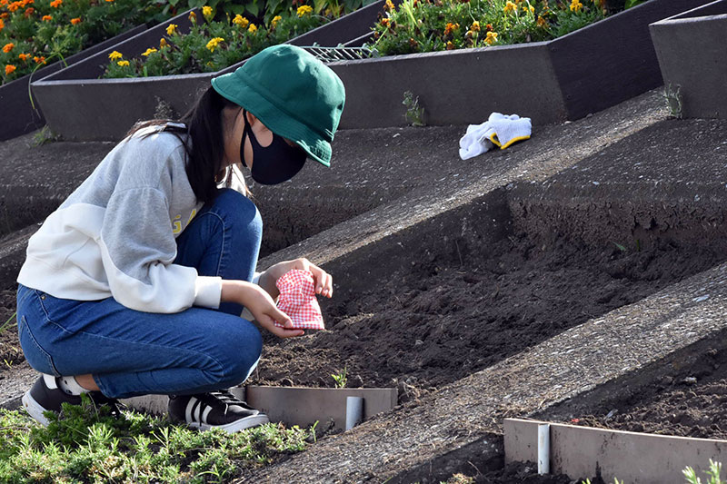 しゃがんで種を掌に出す子ども