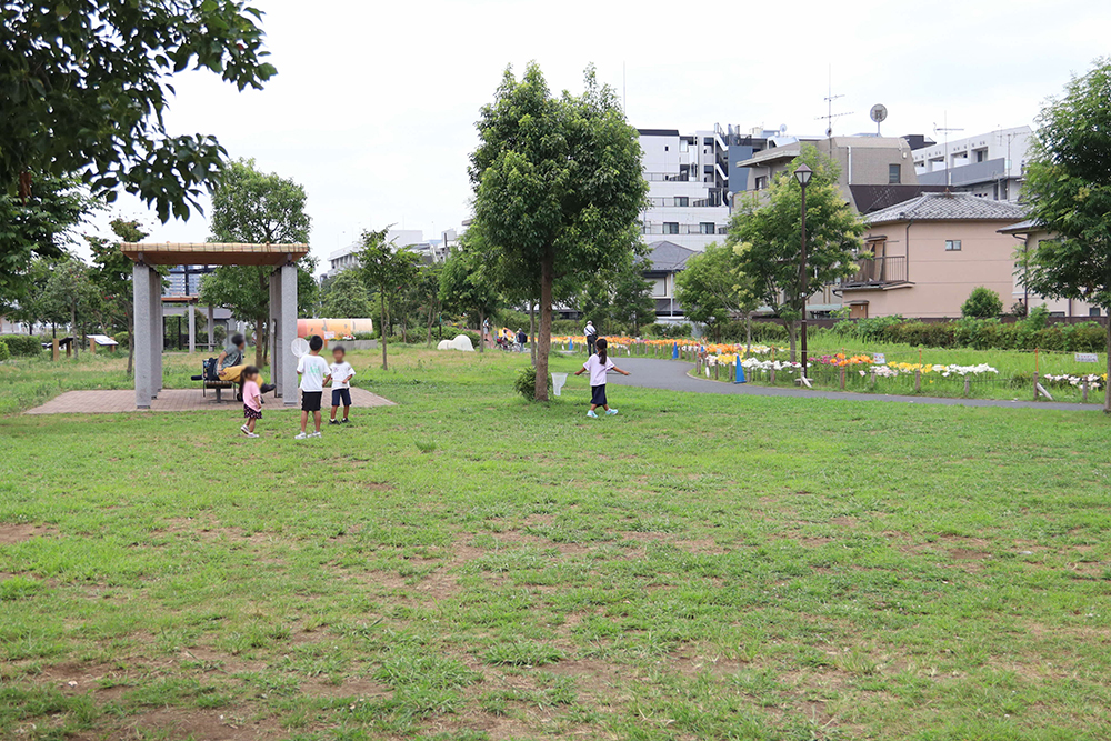 公園広め