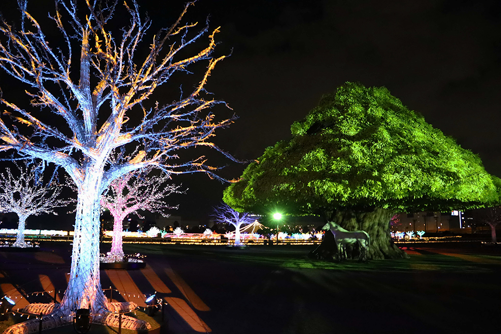 幻想的な光に包まれる樹
